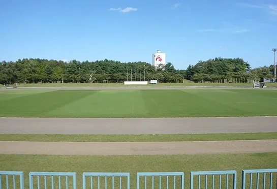 ひばり野公園 2