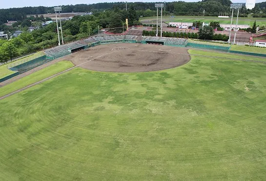 ひばり野公園 3
