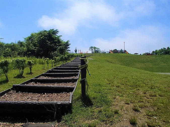 緑ケ岡公園 3
