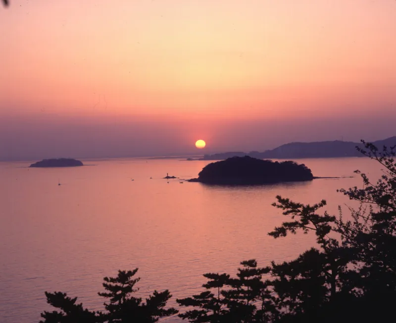  西浦園地 2