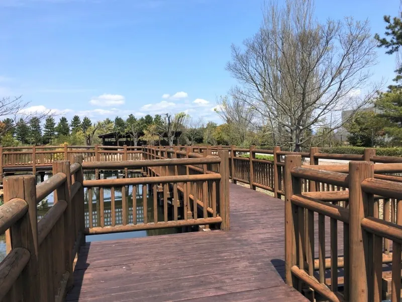 自然環境体験公園 2