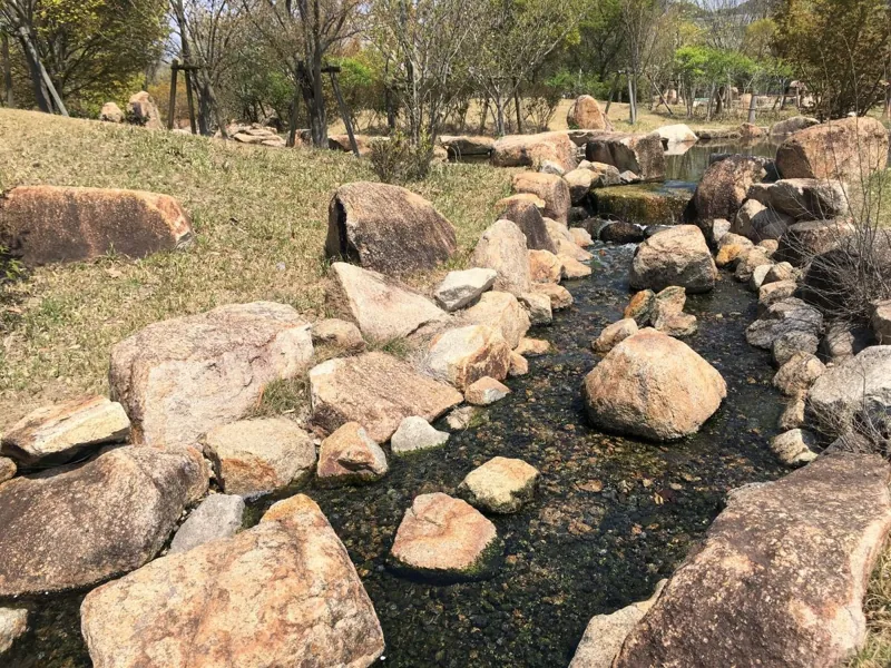 自然環境体験公園 3