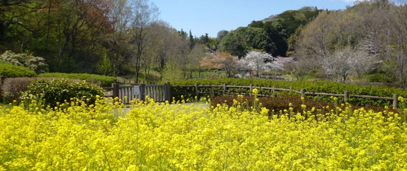小雀公園 2