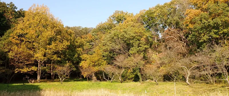 小雀公園 3