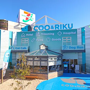 猫カフェ 猫喫茶 空陸家 相模原店