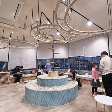猫カフェ 猫喫茶 空陸家 相模原店 2