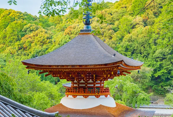 天野山金剛寺 2