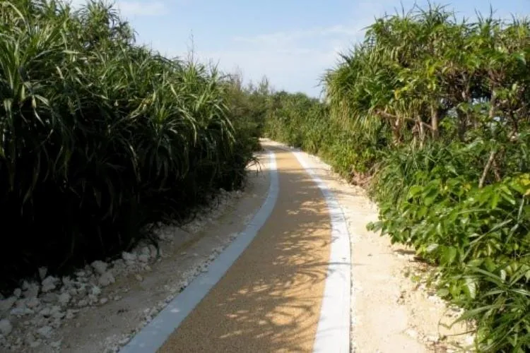 大金久海岸 3