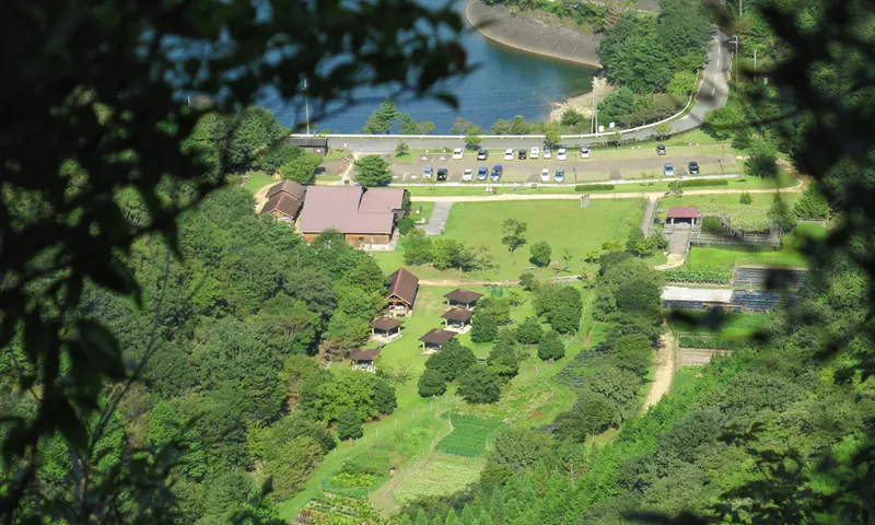 なか・やちよの森公園