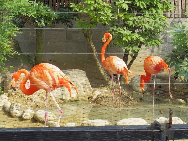 高岡古城公園動物園