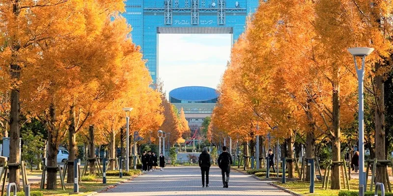 夢の広場 3