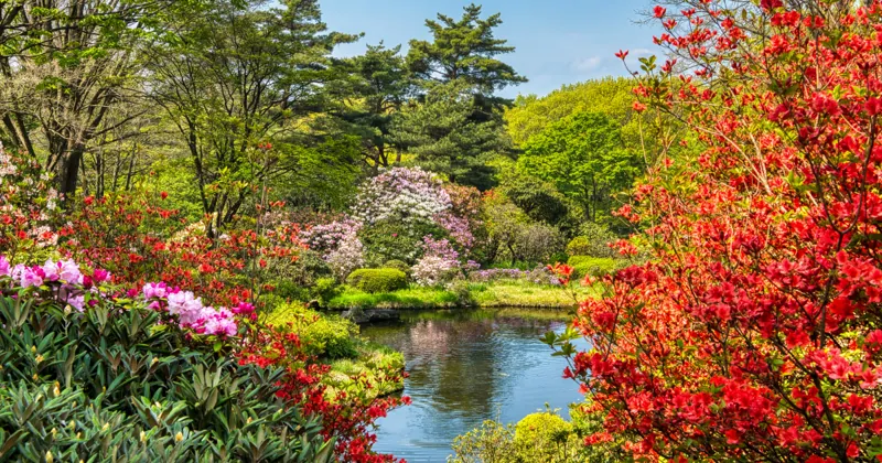 赤城自然園