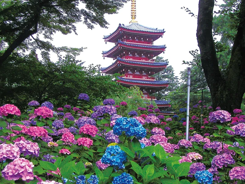 本土寺
