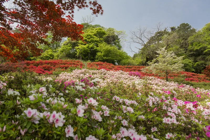卯辰山公園