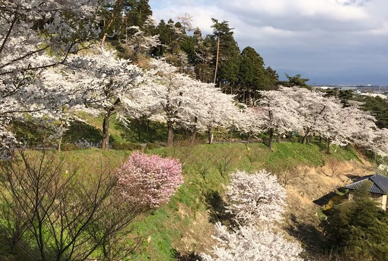 大山公園