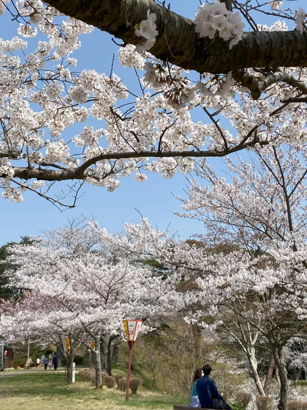 大山公園 2