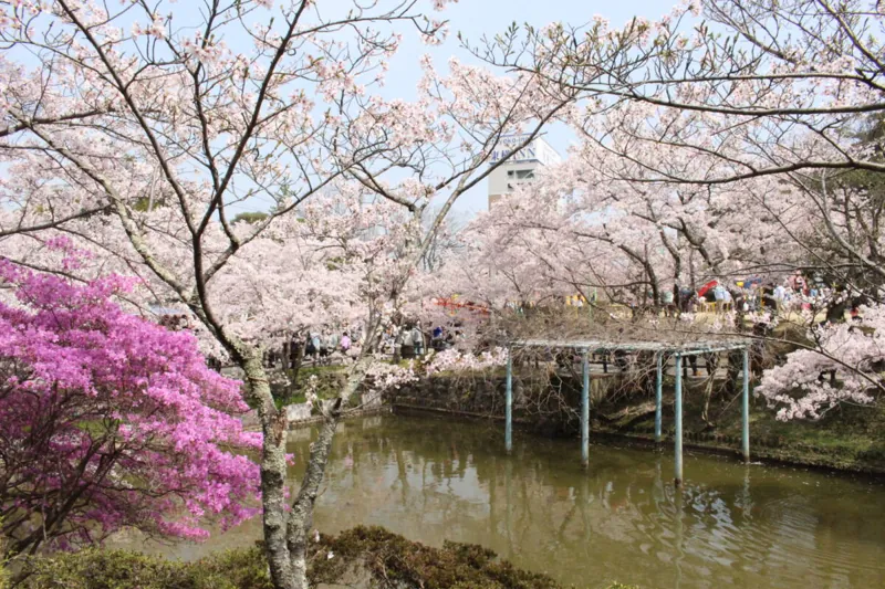 偕楽公園