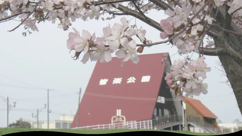 皆楽公園 1