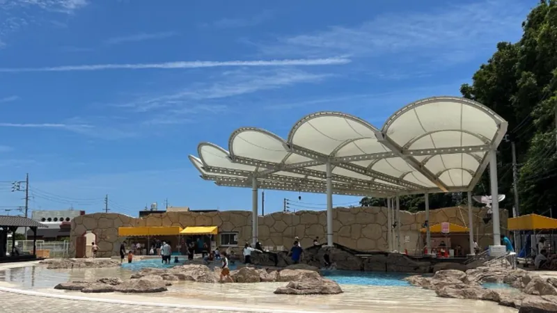 海ほおずき 2
