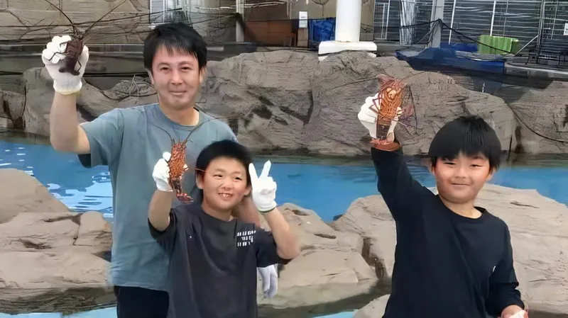 海ほおずき 3