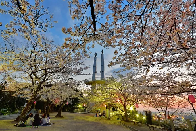 太田山公園（きみさらずタワー）