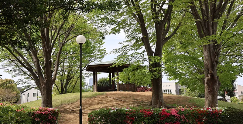 土塔森林公園