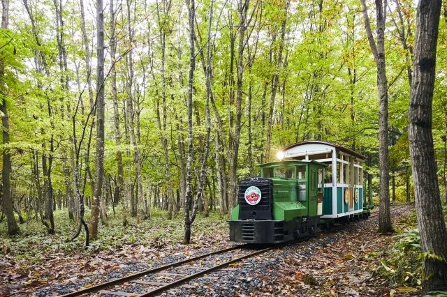 森林トロッコ列車 2