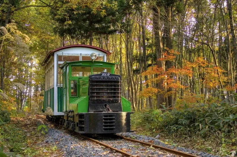 森林トロッコ列車 3