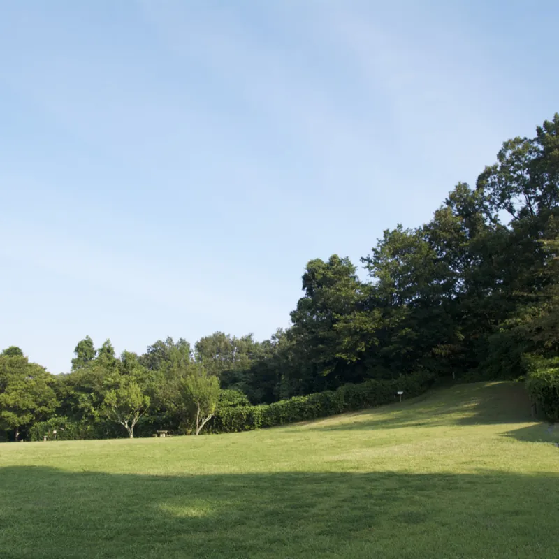 夕日寺健民自然園 3