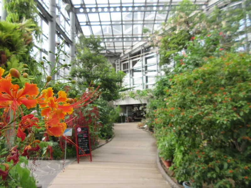 咲くやこの花館