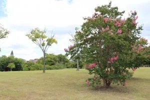 高塚地区公園 3