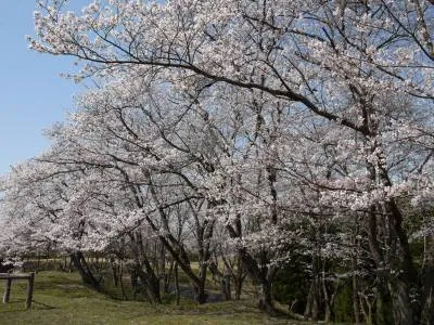 福市遺跡公園 2
