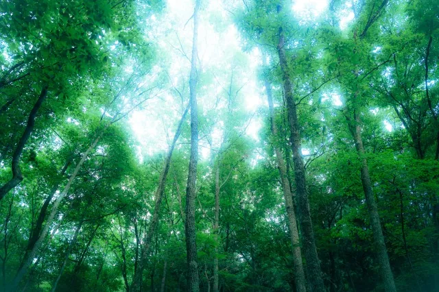 黒坂オートキャンプ場 2