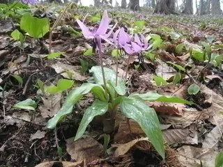 北斗市匠の森公園 2