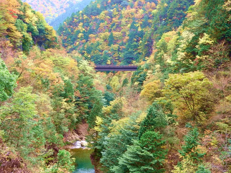 川浦渓谷 2