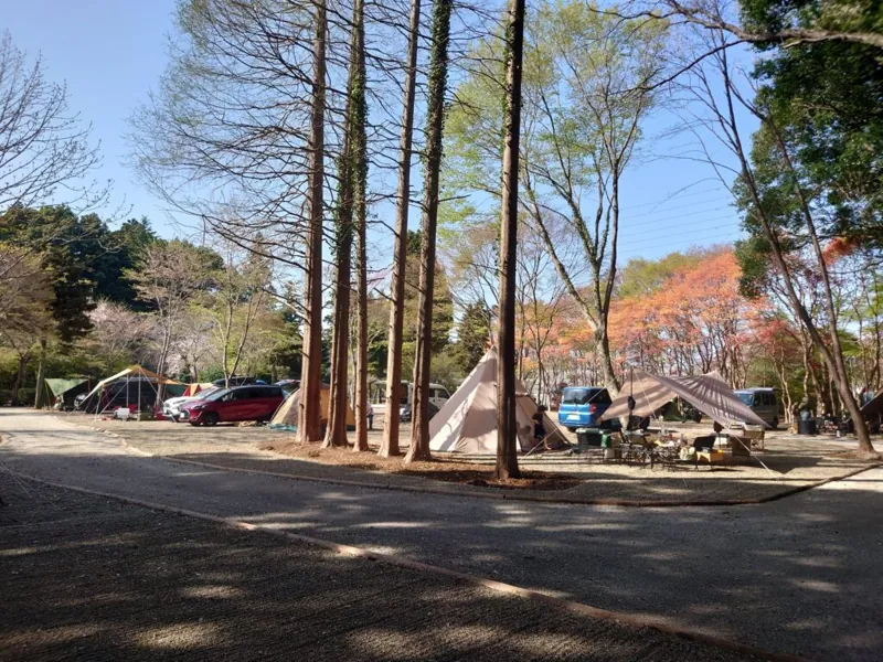 キャンプガーデン印西 2