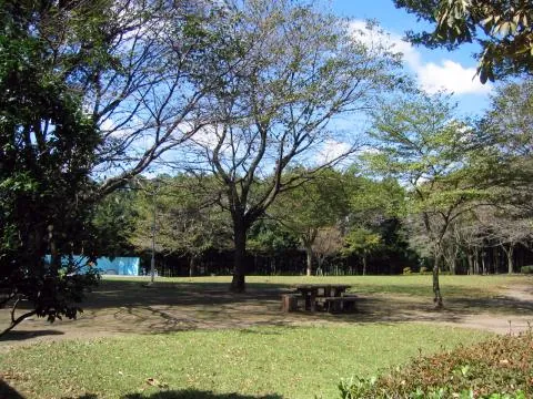 かしの森公園