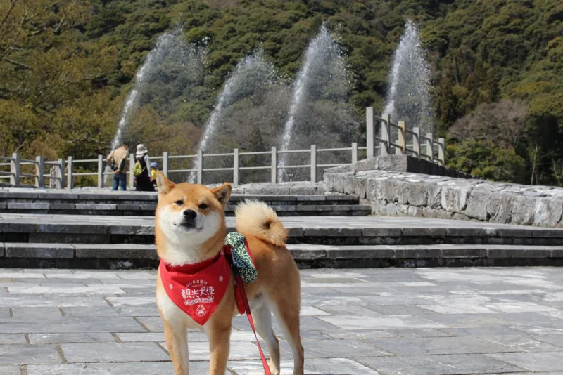 吉香公園