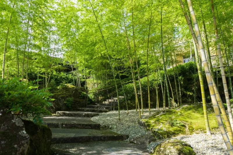 箱根美術館