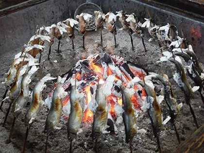 鮎川魚苑 2