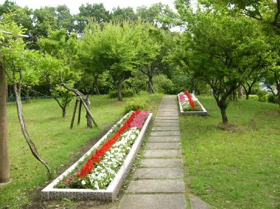 若宮公園 3