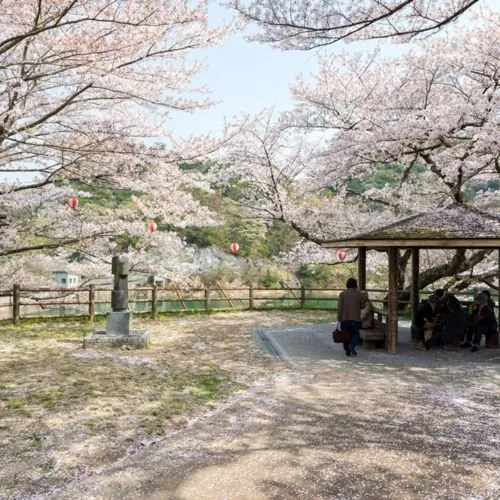 奥山雨山自然公園 1