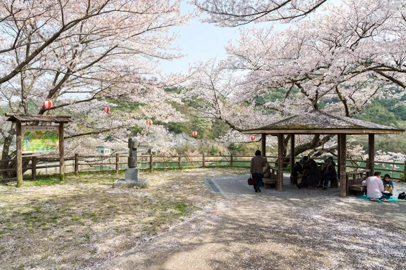 奥山雨山自然公園 2