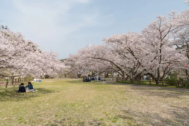 奥山雨山自然公園 3