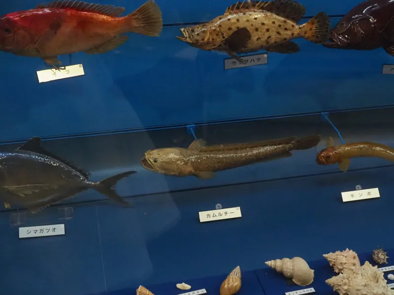海とくらしの史料館