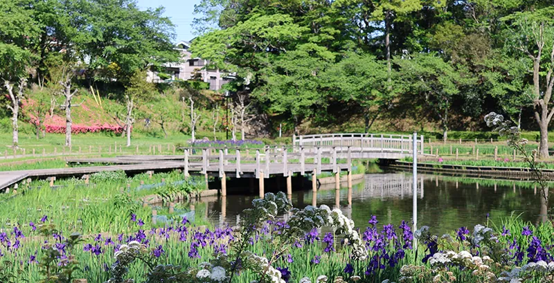 四季の里公園