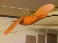 ウミユリ 1