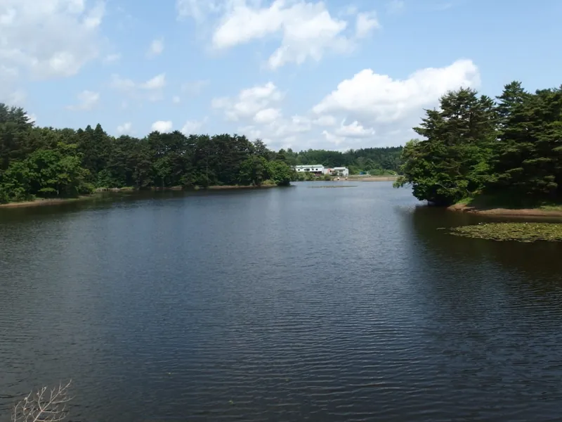 野木和公園 2