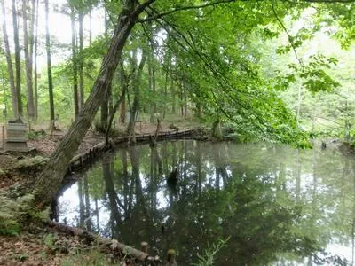 こんぶくろ池公園