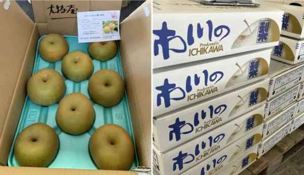 いちかわごちそうマルシェ